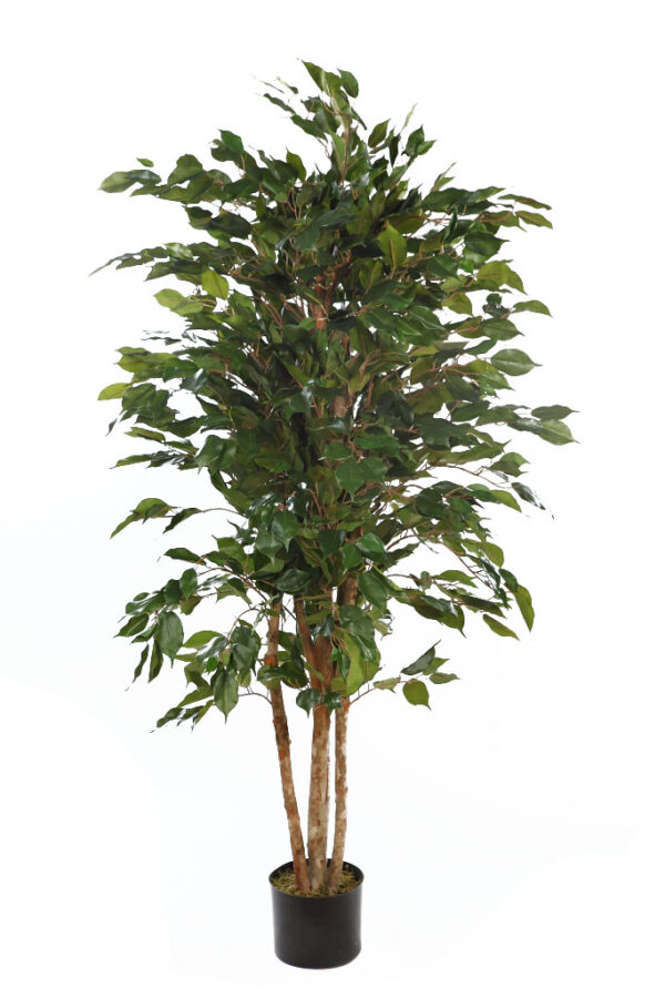 FICUS ARTIFICIAL 150CM