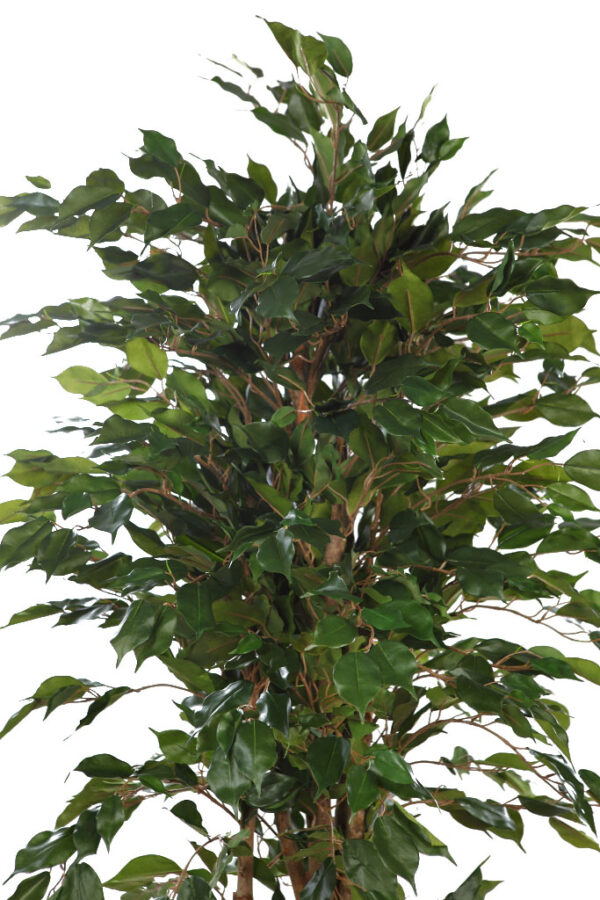FICUS ARTIFICIAL 150CM - Imagen 2