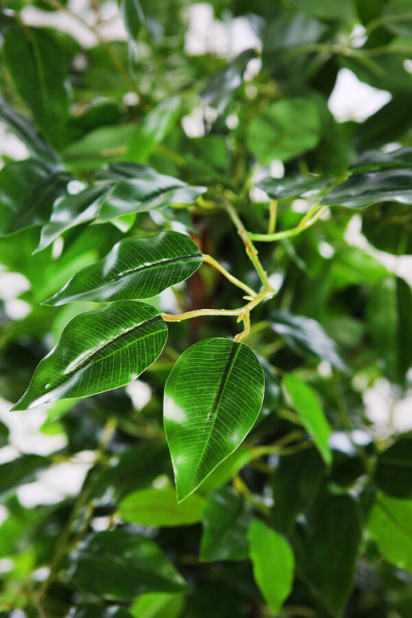 FICUS ARTIFICIAL ARBOL 145CM - Imagen 2