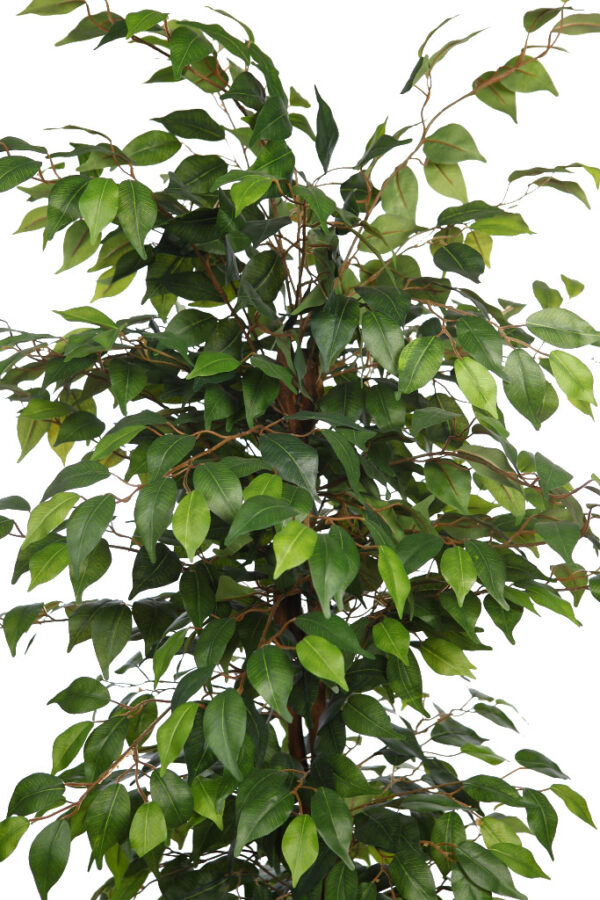 FICUS ARTIFICIAL CON MACETA 175CM - Imagen 2