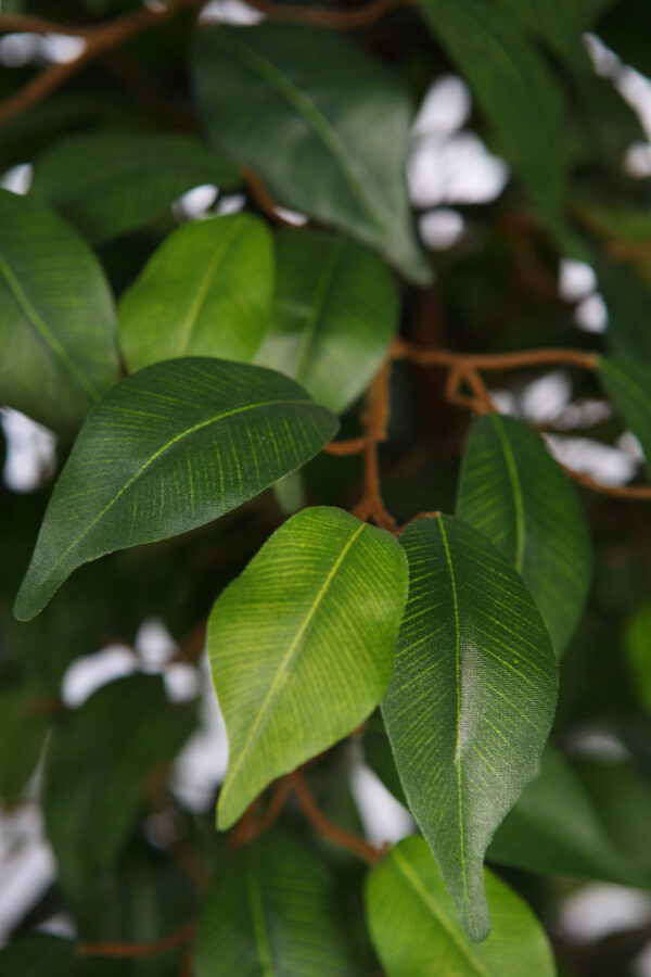 FICUS ARTIFICIAL CON MACETA 175CM - Imagen 3