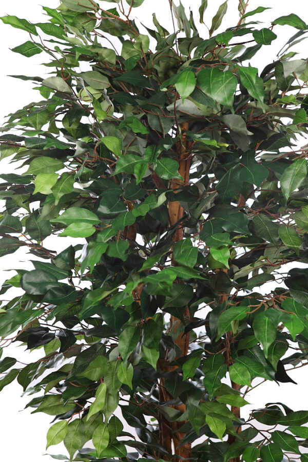 FICUS ARTIFICIAL EN MACETA 190CM - Imagen 2