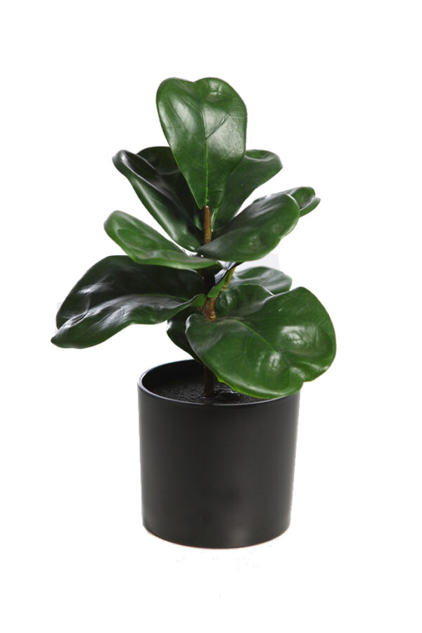 MINI FICUS LYRATA ARTIFICIAL 27CM