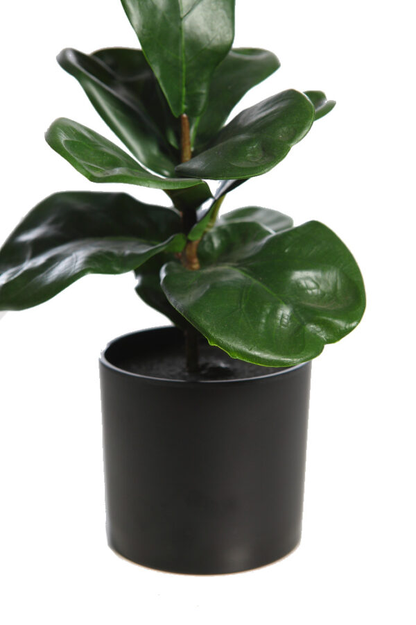 MINI FICUS LYRATA ARTIFICIAL 27CM - Imagen 2