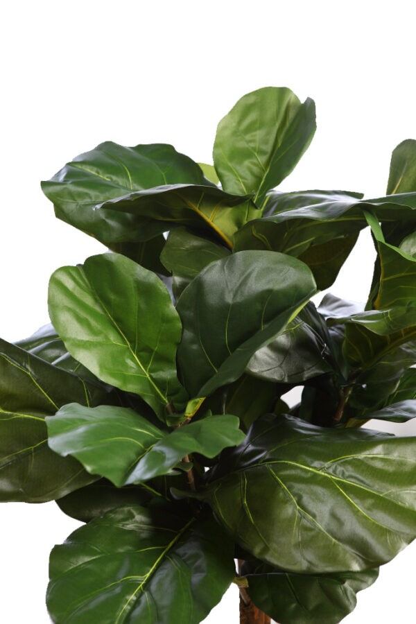 FICUS LYRATA EN MACETA ARTIFICIAL 130CM - Imagen 2