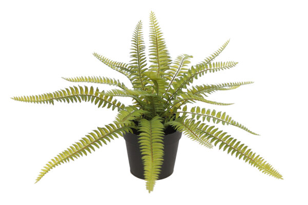 HELECHO ARTIFICAL EN MACETA ALT 25CM - Imagen 2