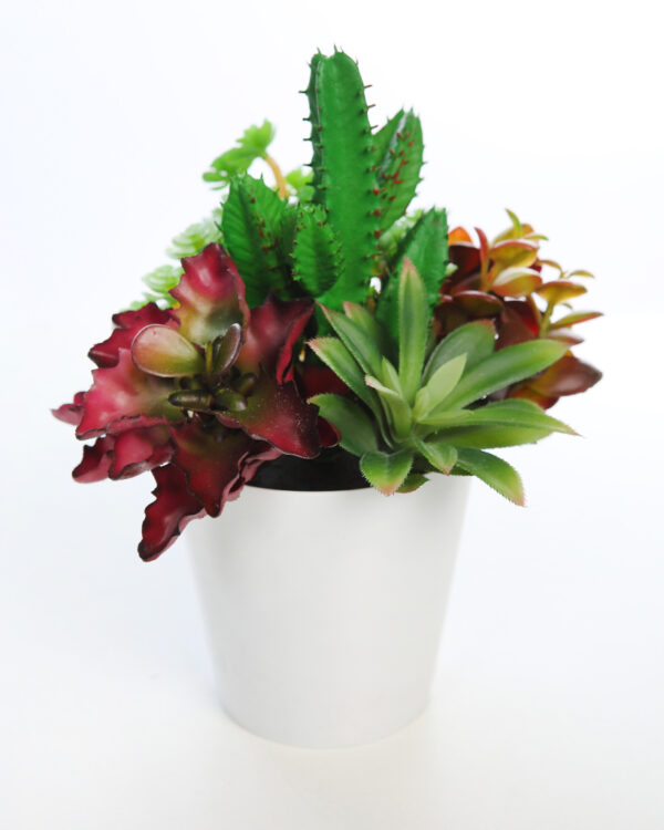 MACETA CACTUS Y CRASA ARTIFICIAL 25CM