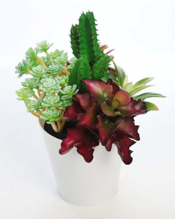 MACETA CACTUS Y CRASA ARTIFICIAL 25CM - Imagen 2
