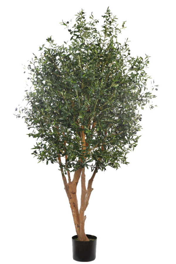 OLIVO ARTIFICIAL CON MACETA 240CM
